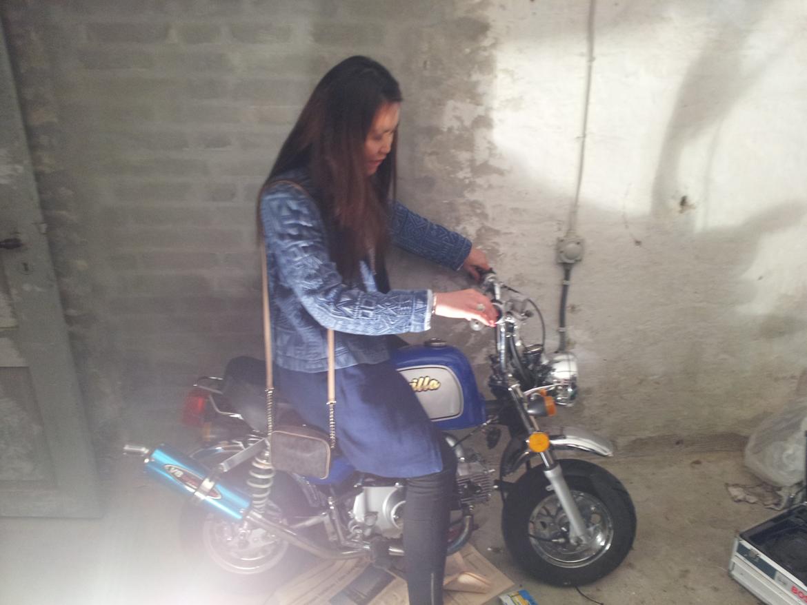 Jincheng Gorilla - En veninde sidder på. Så kan i se størrelsen (og hun er bette!!) billede 26