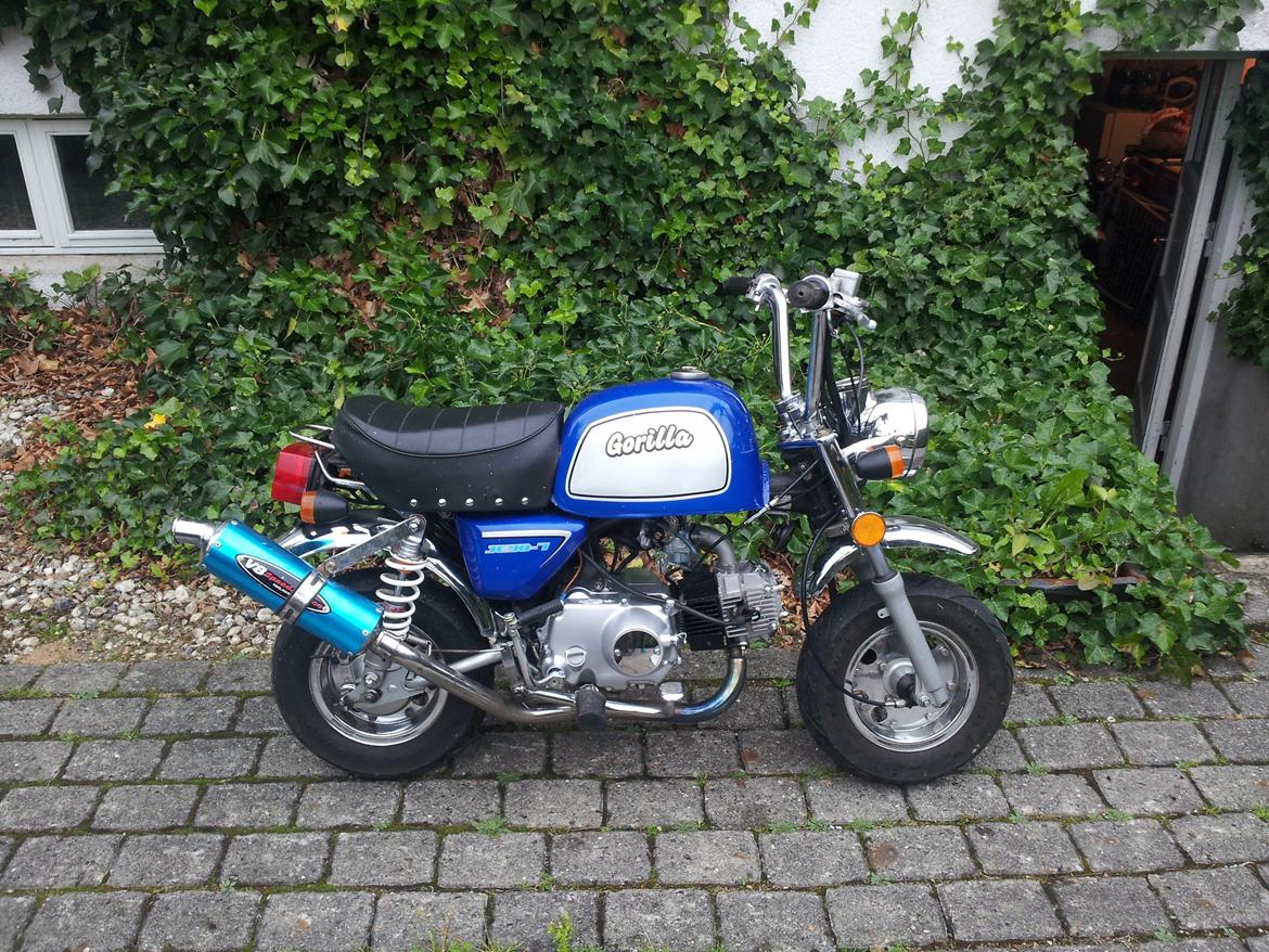 Jincheng Gorilla - Finish! billede 27