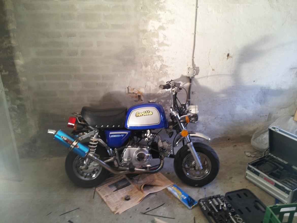 Jincheng Gorilla - Under opbygning. billede 28