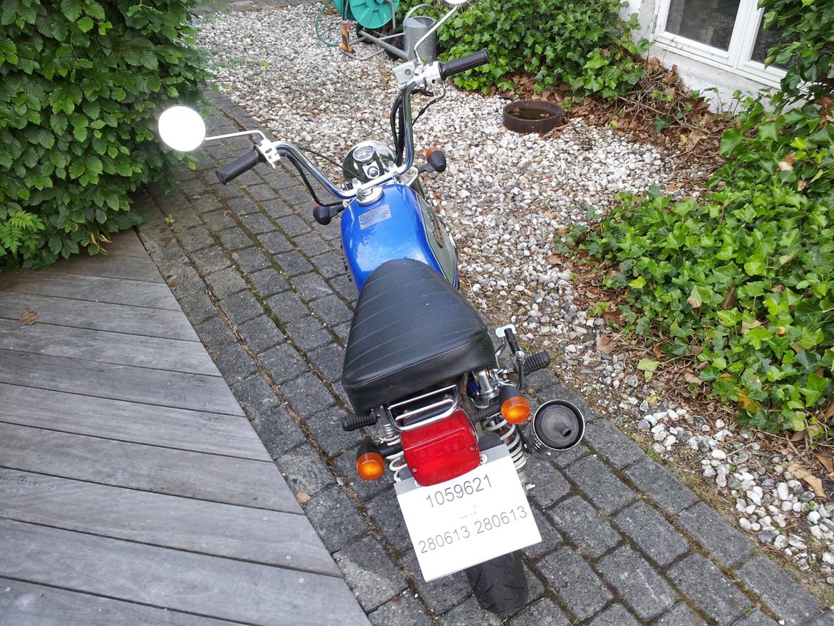 Jincheng Gorilla - På vej til syn. billede 29