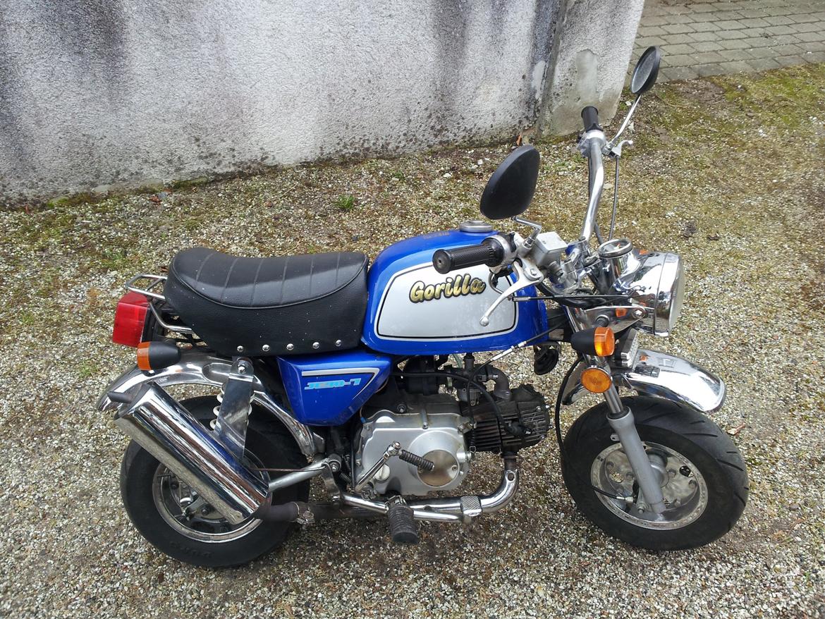 Jincheng Gorilla - Klar til syn. billede 30