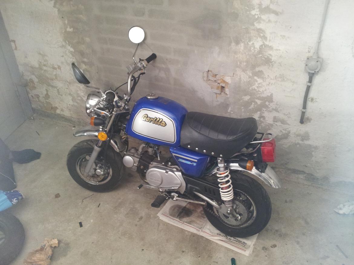 Jincheng Gorilla - Ved at blive gjort klar til syn. billede 31