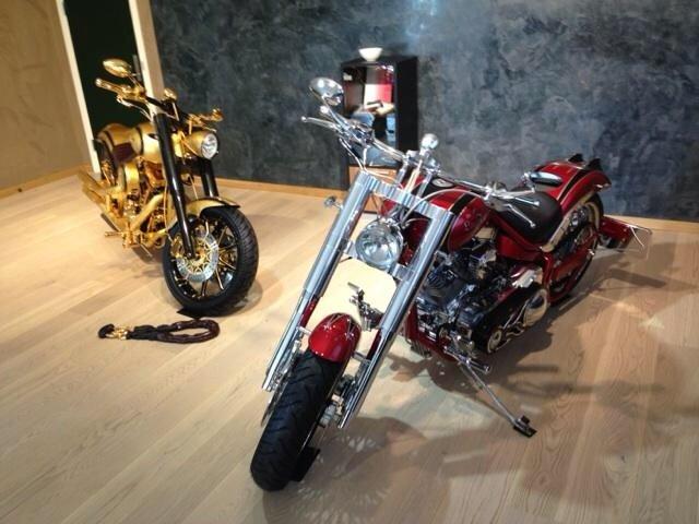 Lauge Jensen Great Dane billede 15