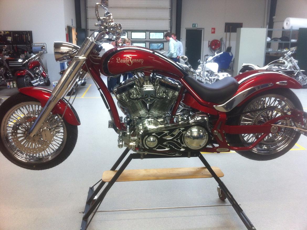 Lauge Jensen Great Dane billede 14