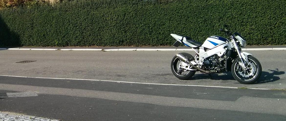 Suzuki TL1000R - 2015 billede 3