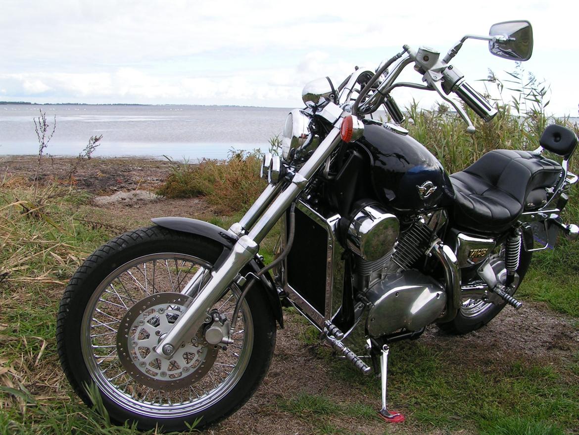 Kawasaki VN 1500 billede 18