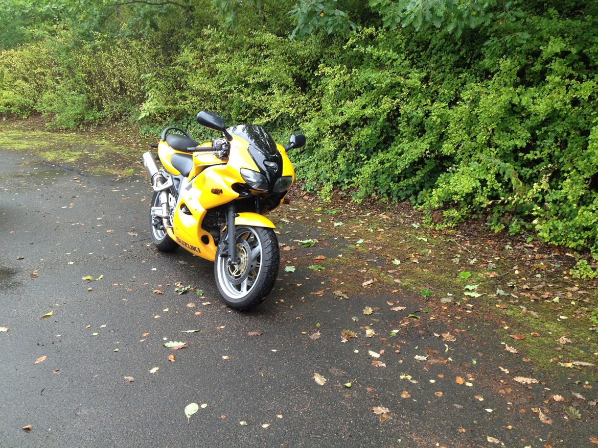 Suzuki SV 650 S [Tidligere MC] billede 2