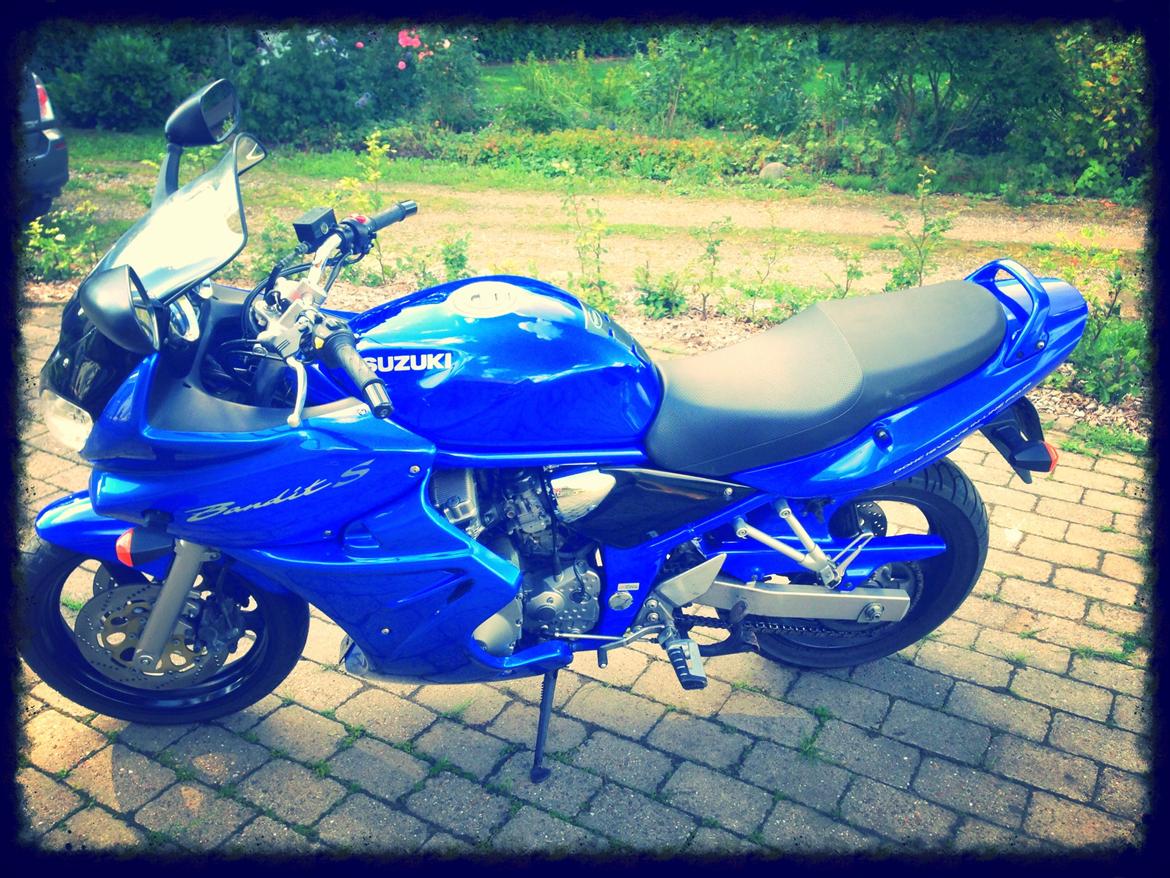 Suzuki GSF 600 S (Bandit) - Leg med billede-redigering billede 15