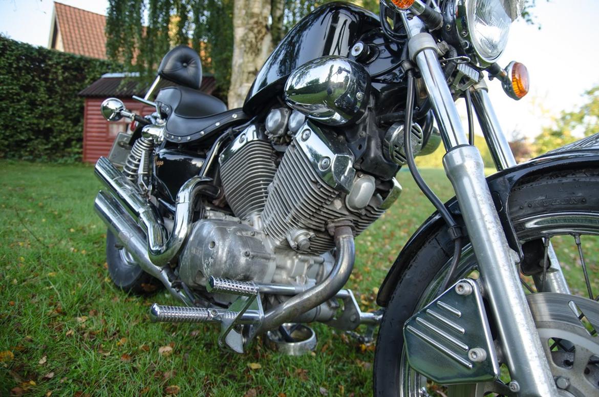 Yamaha Virago 535 billede 7