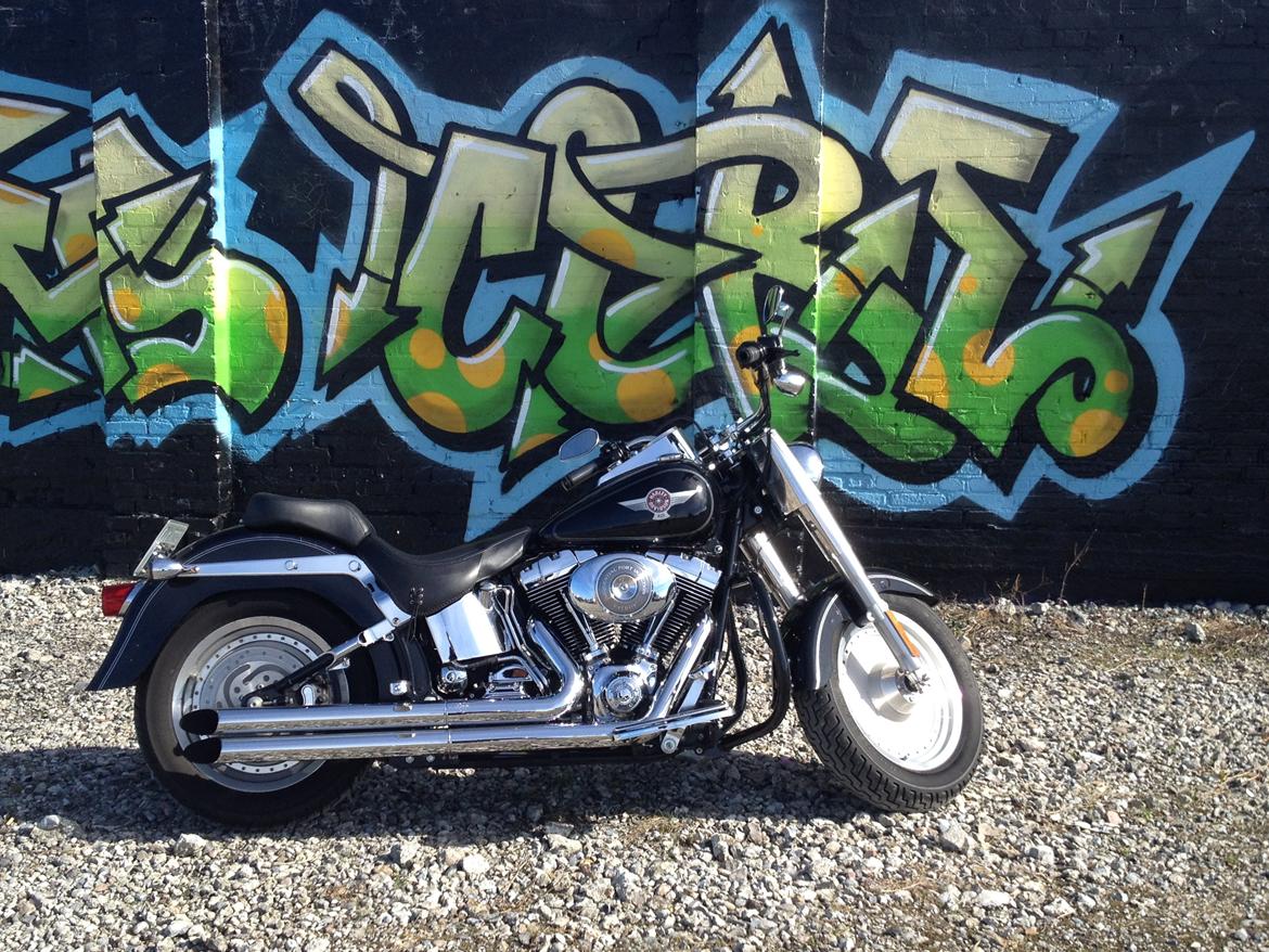 Harley Davidson FLSTF Fatboy billede 9