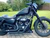 Harley Davidson Sportster XL883N Iron
