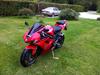 Triumph Daytona 675 ( SOLGT )
