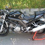 Suzuki SV 1000