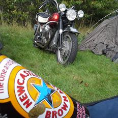 Moto Guzzi V7 850 GT