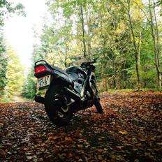 Honda VFR 750F