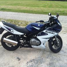 Suzuki GS 500 F