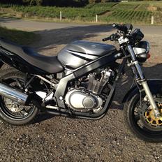 Suzuki GS 500E