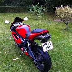 Triumph Daytona 675 ( SOLGT )