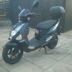 PGO T-Rex 110ccm