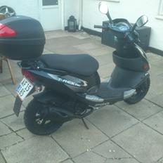 PGO T-Rex 110ccm