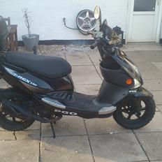 PGO T-Rex 110ccm