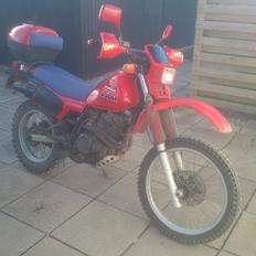Honda XL350R
