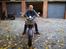 Jinlun JL250V  Euro 3    SOLGT