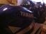 Yamaha YZF R6
