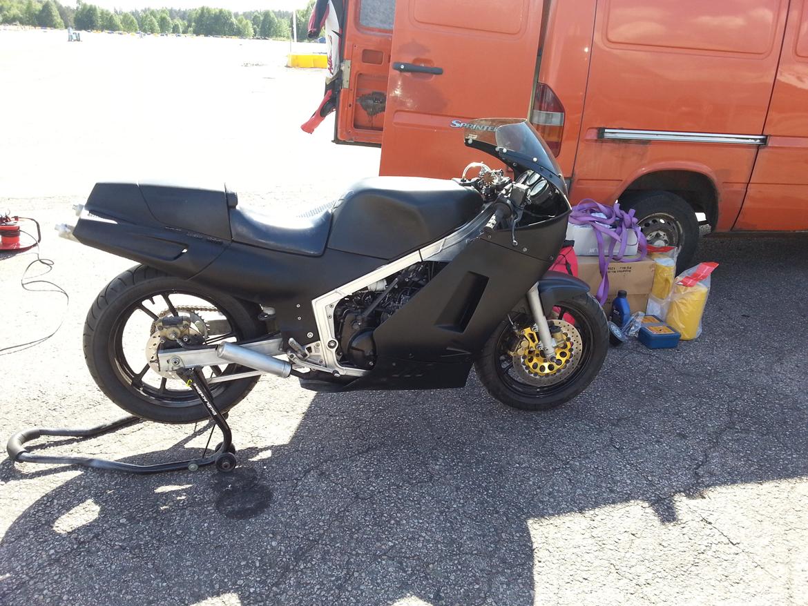 Suzuki RG 500 Gamma billede 7