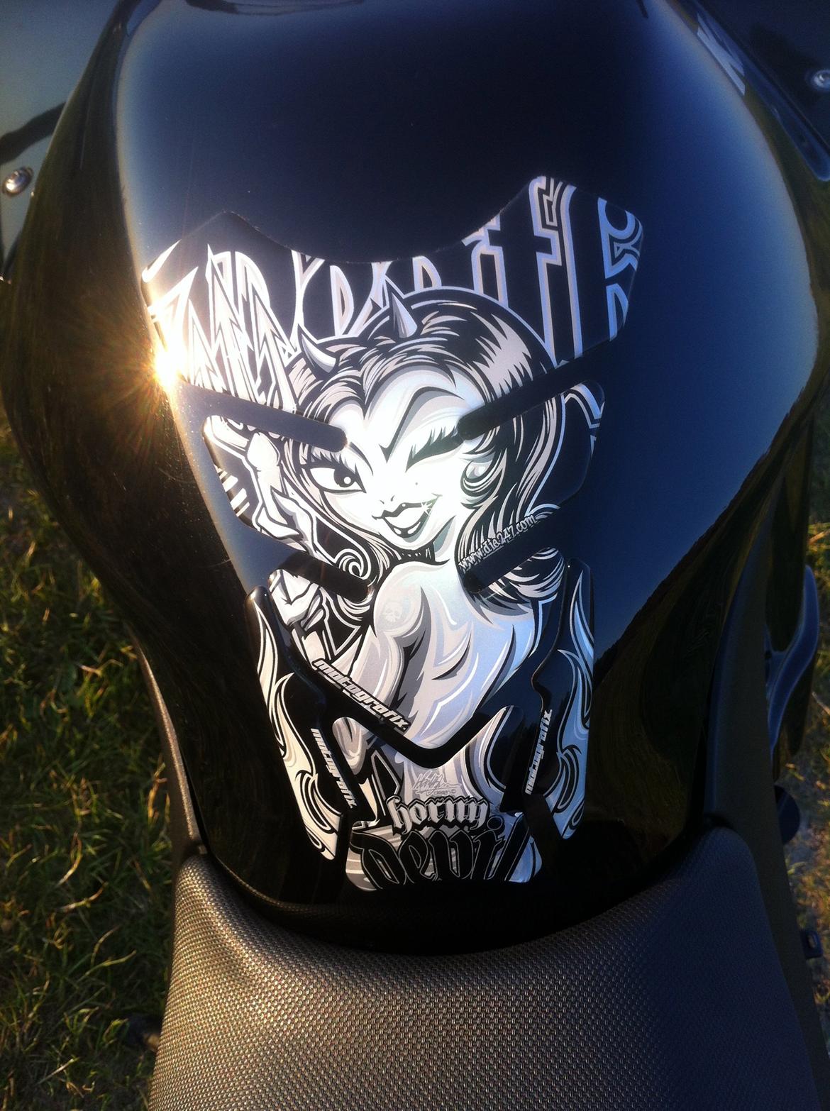 Kawasaki Ninja 250R billede 5