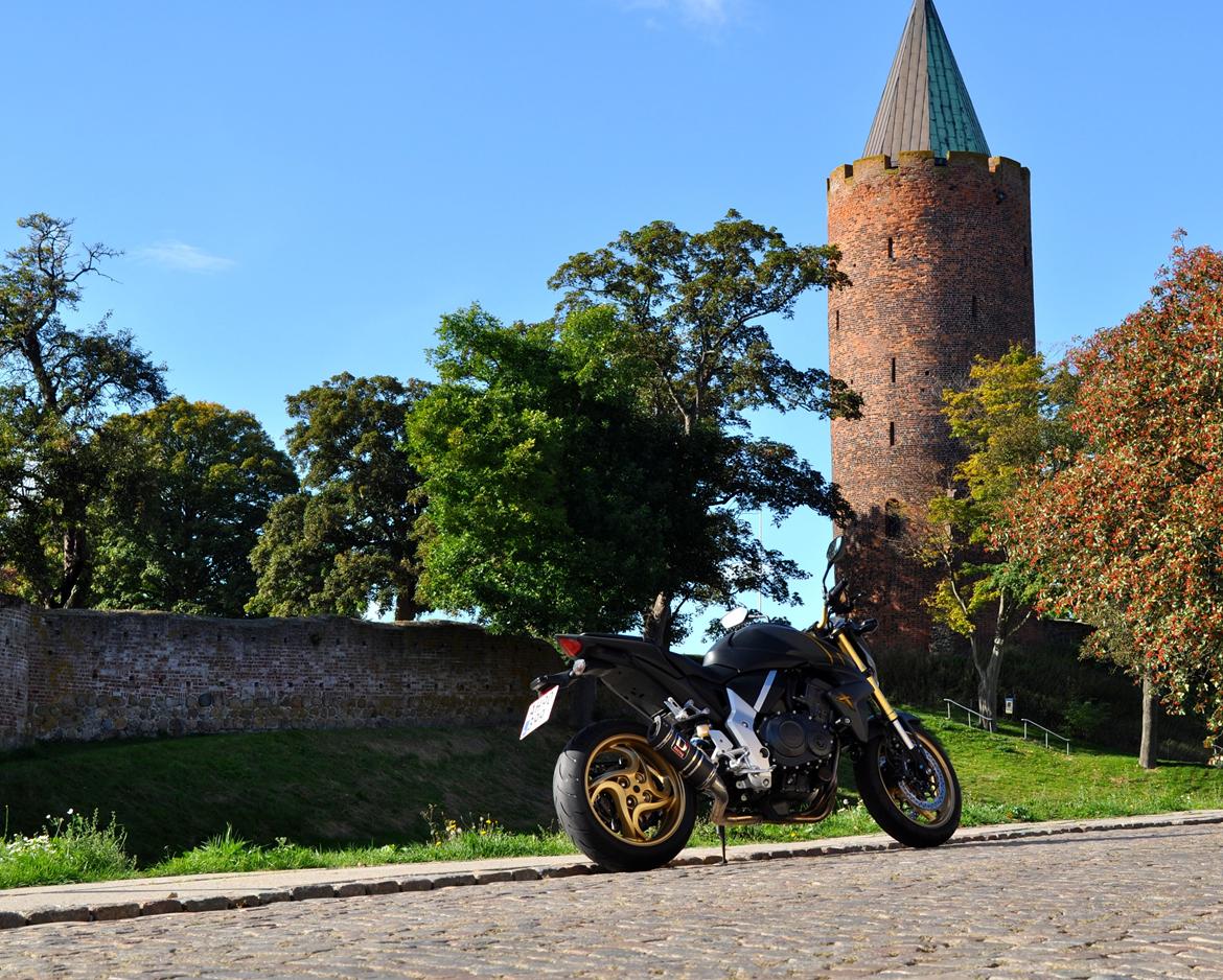 Honda CB 1000 RA billede 14