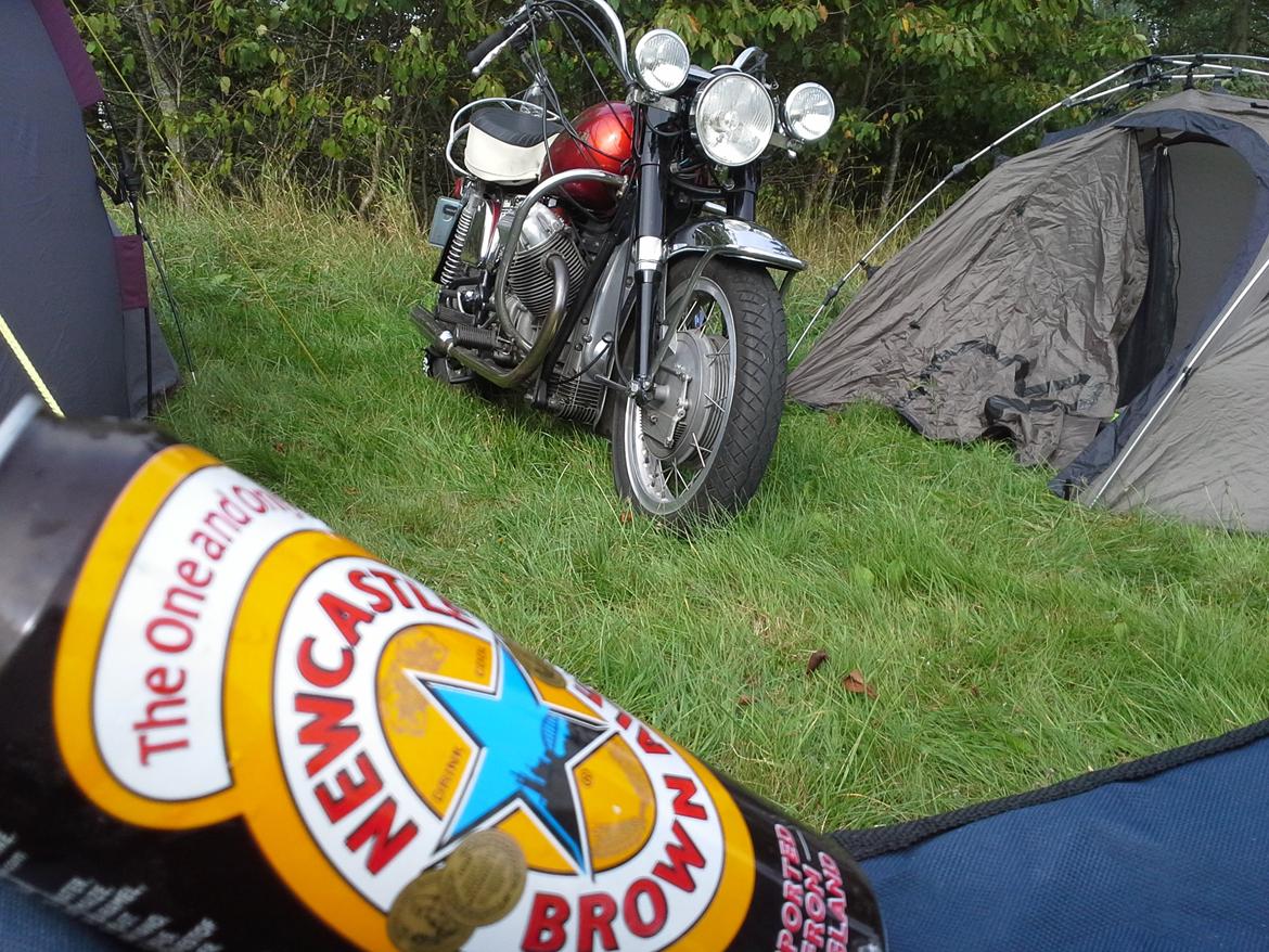 Moto Guzzi V7 850 GT billede 3