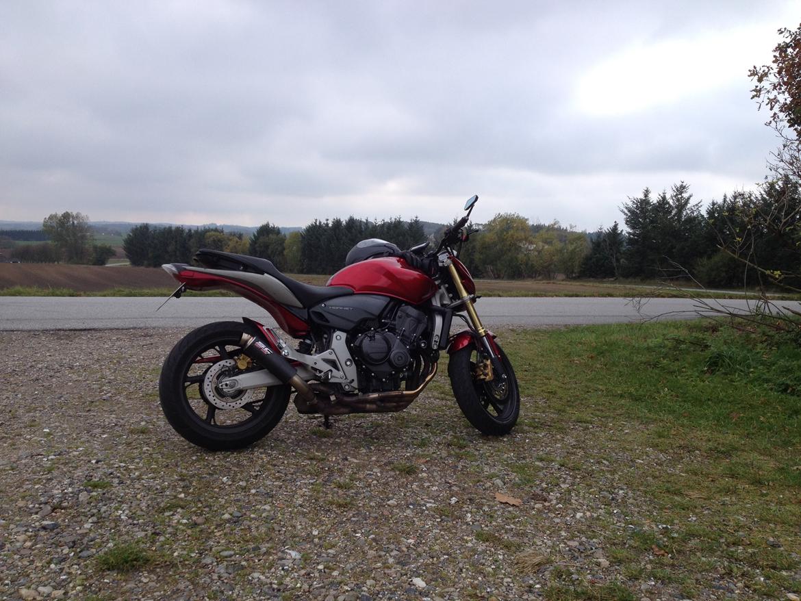 Honda CB600F Hornet ABS billede 6