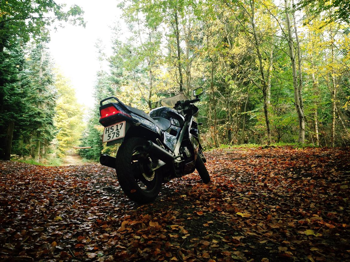 Honda VFR 750F billede 3