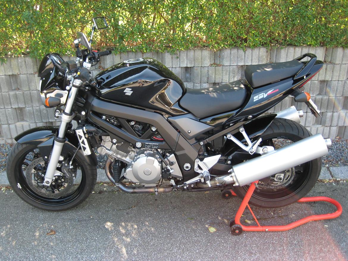 Suzuki SV 1000 billede 5