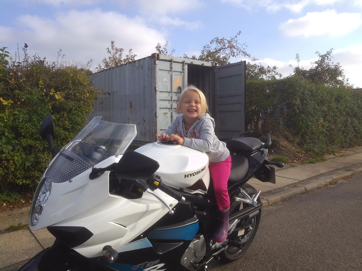 Hyosung GT650R EFI Special - Hun er næsten mere begejstret en mig.! ;-)  billede 4