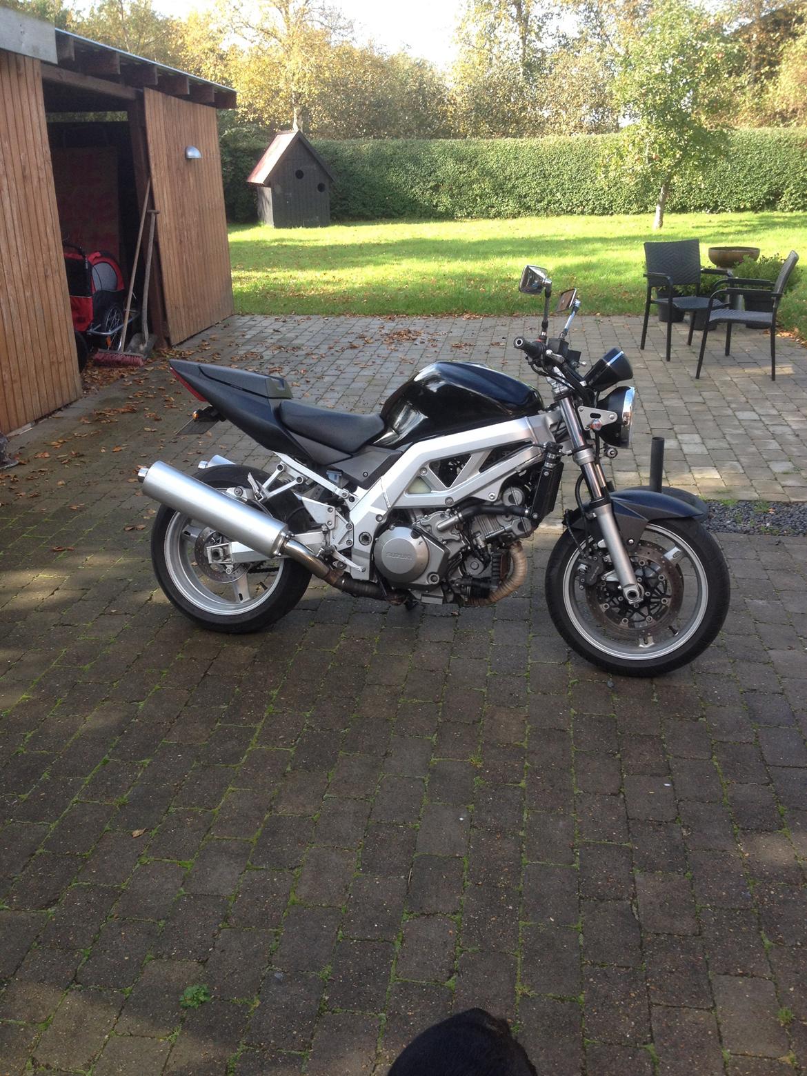 Suzuki Sv 1000 n billede 4