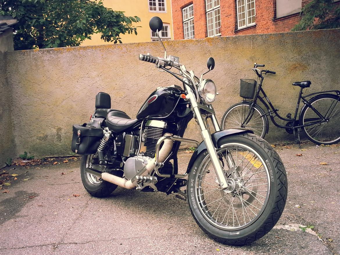 Suzuki LS 650 Savage billede 1