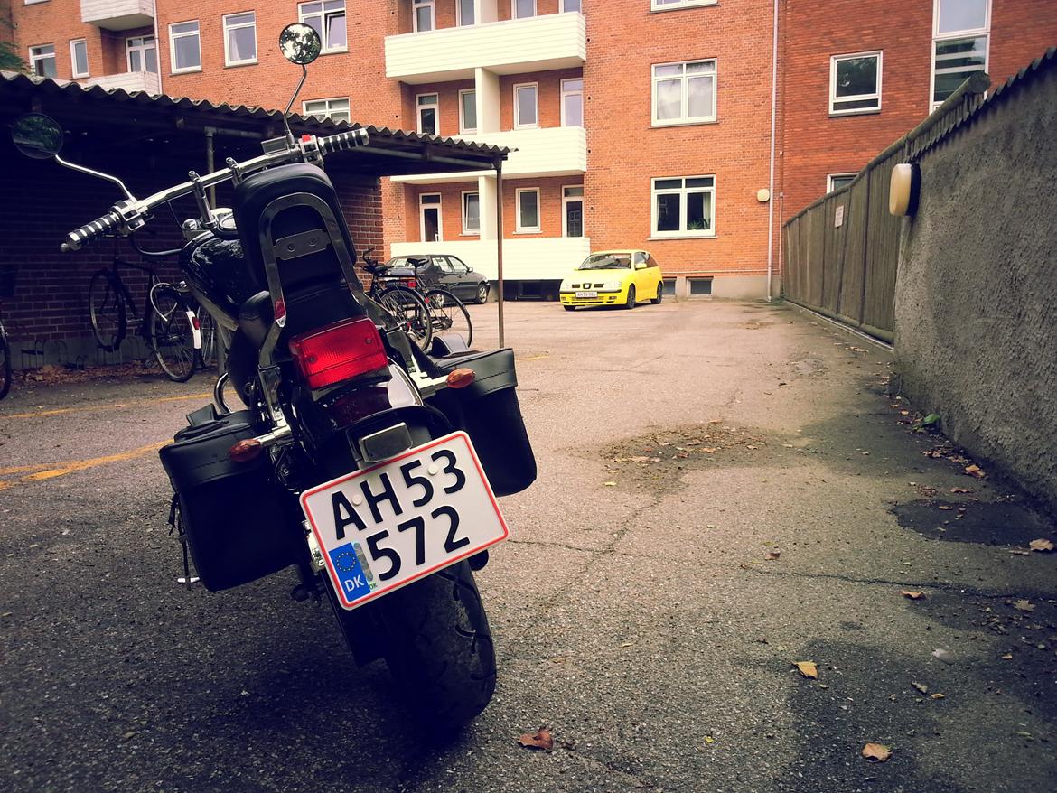 Suzuki LS 650 Savage billede 2