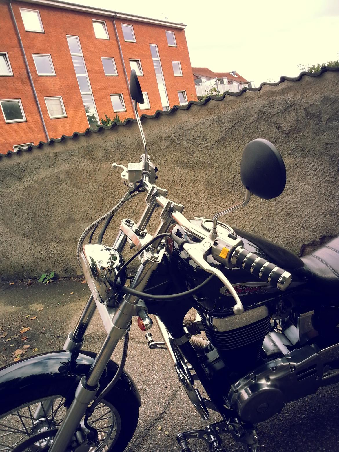 Suzuki LS 650 Savage billede 5