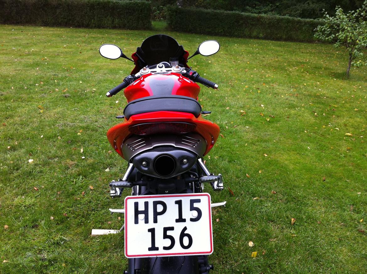 Triumph Daytona 675 ( SOLGT ) billede 7