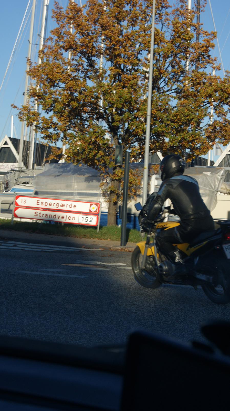 Suzuki GS 500 EU billede 5