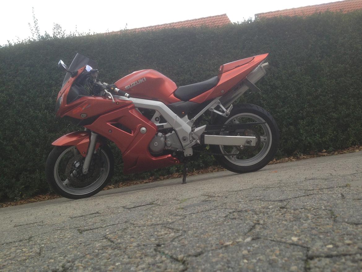 Suzuki SV 650s  billede 7