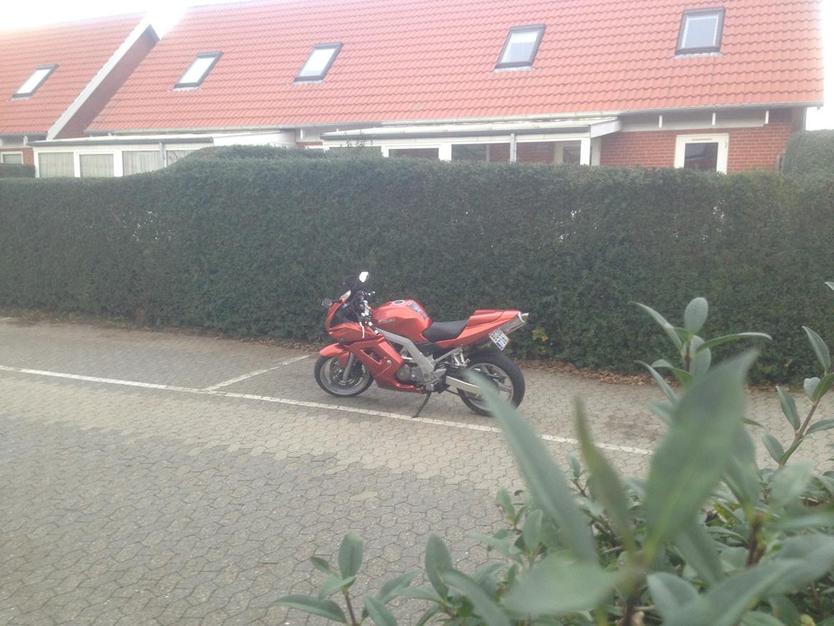 Suzuki SV 650s  billede 13