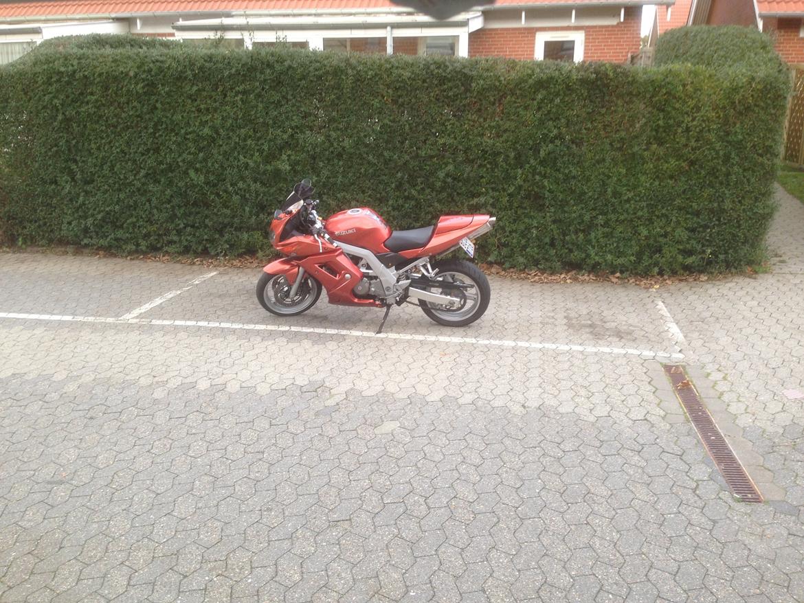 Suzuki SV 650s  billede 14