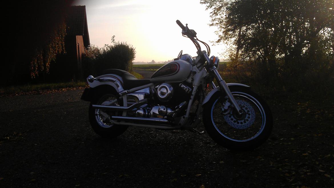 Yamaha xvs 650 Dragstar *Projekt* - Kom så sol... du er der næsten... billede 15
