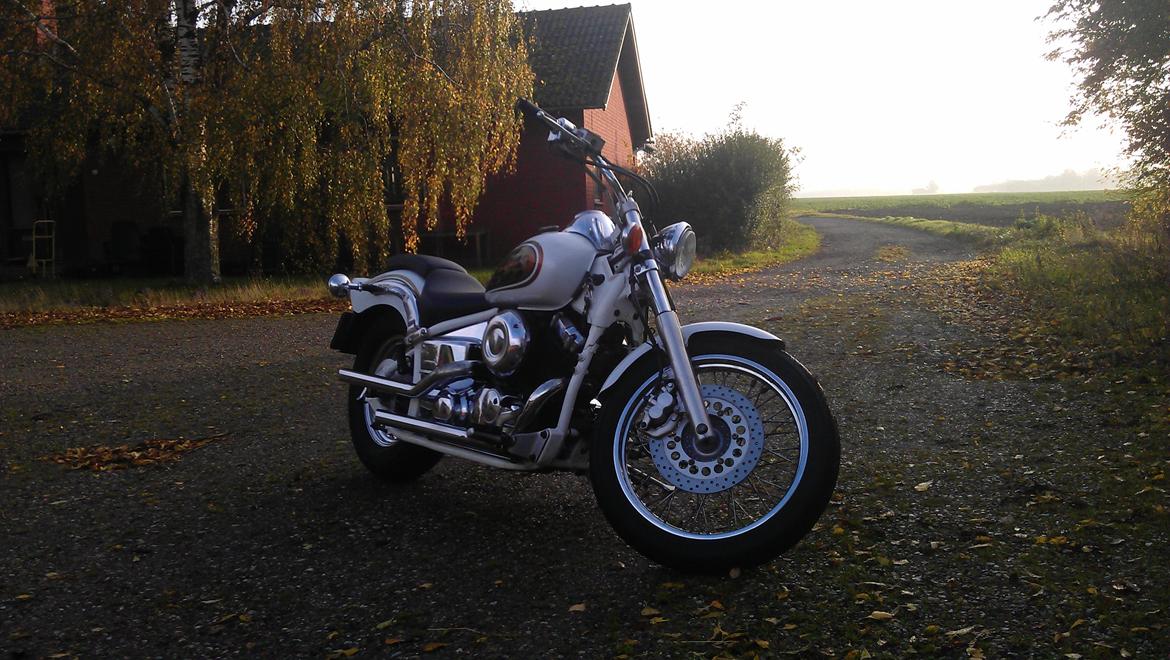 Yamaha xvs 650 Dragstar *Projekt* billede 14