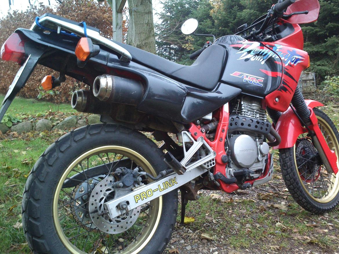 Honda NX 650 Dominator billede 2