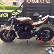 Suzuki Gsf 1200 streetfighter