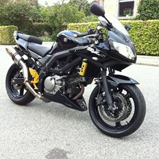 Suzuki SV 650 S